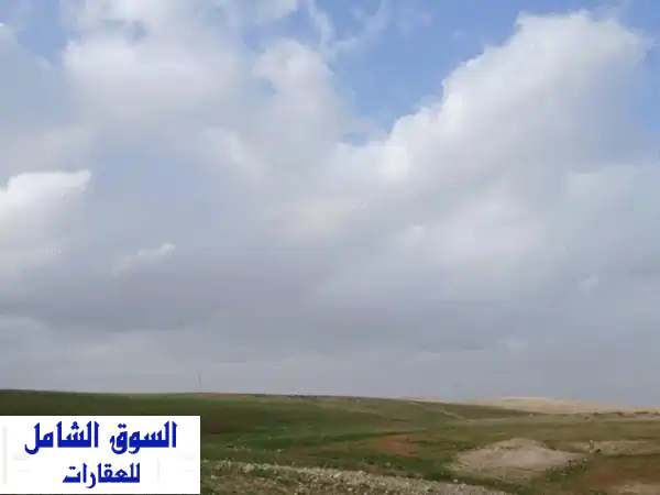 اربد النعيمه