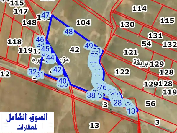 اربد النعيمه