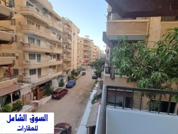 هتصيف وتستثمر مقدم 200 الف وهتقسط ع 50 شهر خطوات...