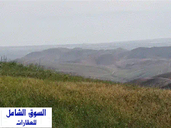 ارض زراعيه شارع واصل اطلاله غربيه