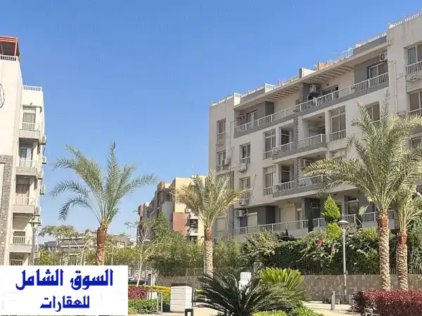 بيانات السيارة