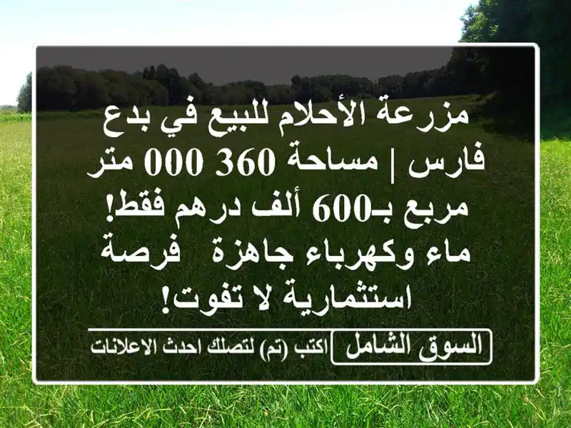 مزرعة الأحلام للبيع في بدع فارس | مساحة 360,000 متر مربع بـ600 ألف درهم فقط! ماء وكهرباء جاهزة - فرصة استثمارية لا تفوت!