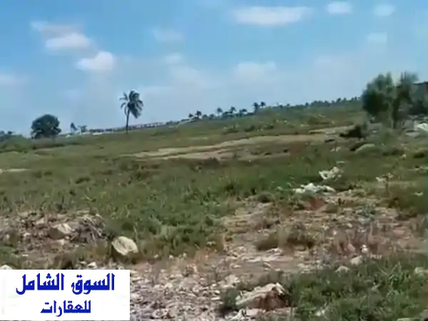 ارض كبيره ومميزه للبيع