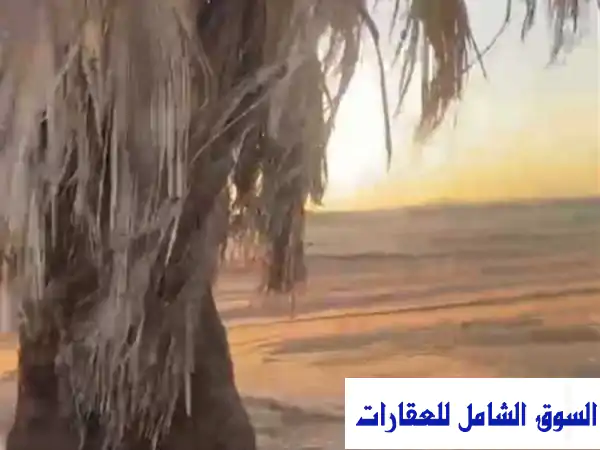للبيع 5 فدان زراعي ثاني نمرة طريق مصر الاسماعيلية في مدينة الإسماعيلية