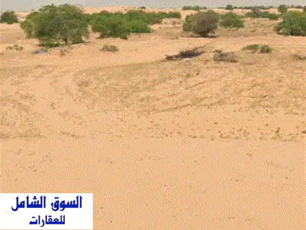 فرصة العمر! أرض تجارية G+4 للبيع في الرقيبة الشارقة...
