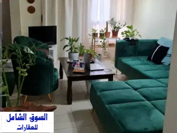 للبيع شقة في الطابق الأول في إسكان سلماباد، تتكون من 3 غرف و3 حمامات وصالة ومطبخ، مفروشة جزئياً، ...