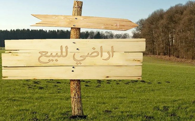 m.walid