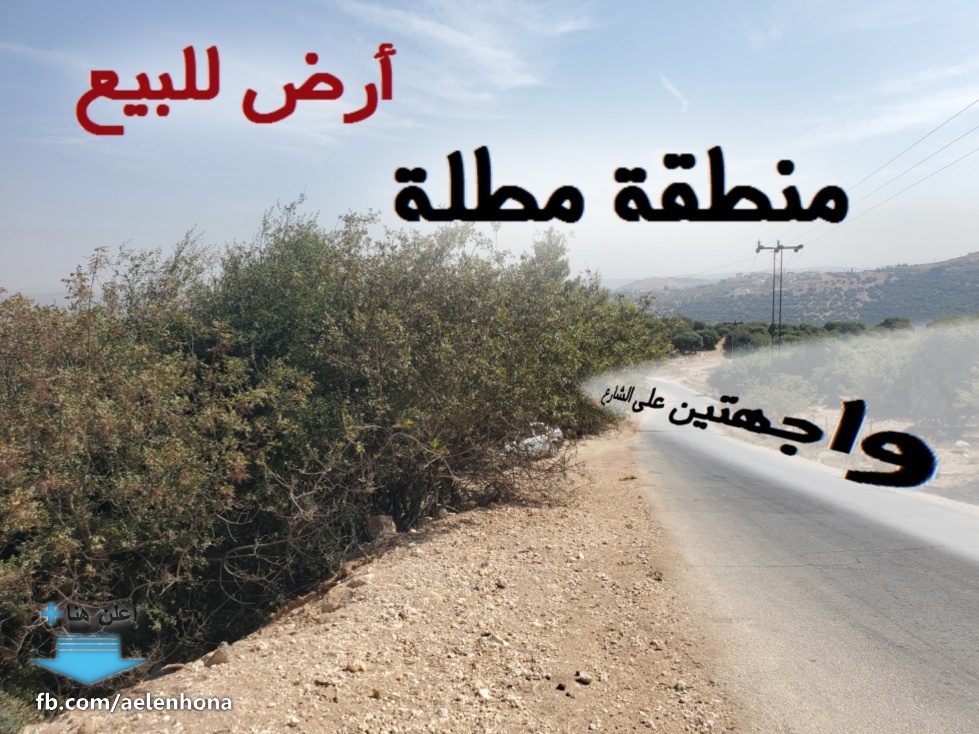 ارض للبيع في ام جوزة/سلعوف - قرب مسجد سلعوف